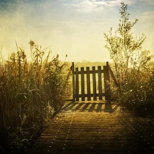 留给自己的也是无怨无悔的流年——《理想宝》