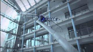 11款最逼真的仿生机器人,让人眼花缭乱,还有一个特殊功能