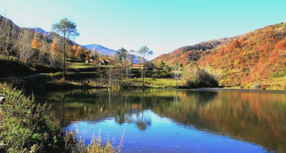 秋游好去处:莲花台风景名胜区的多彩探索