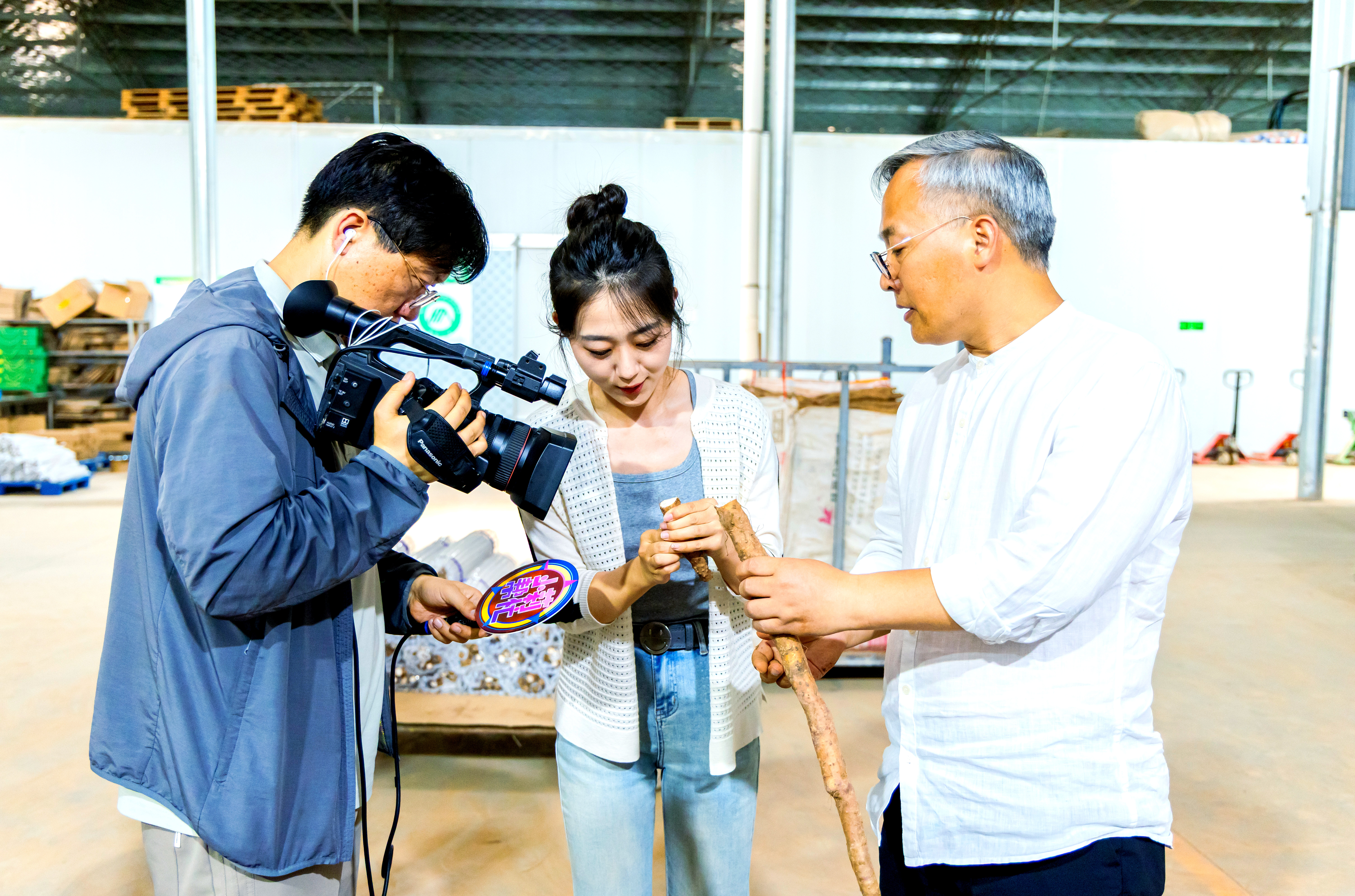 张宝山山药:全球影响力与卓越品质的结合