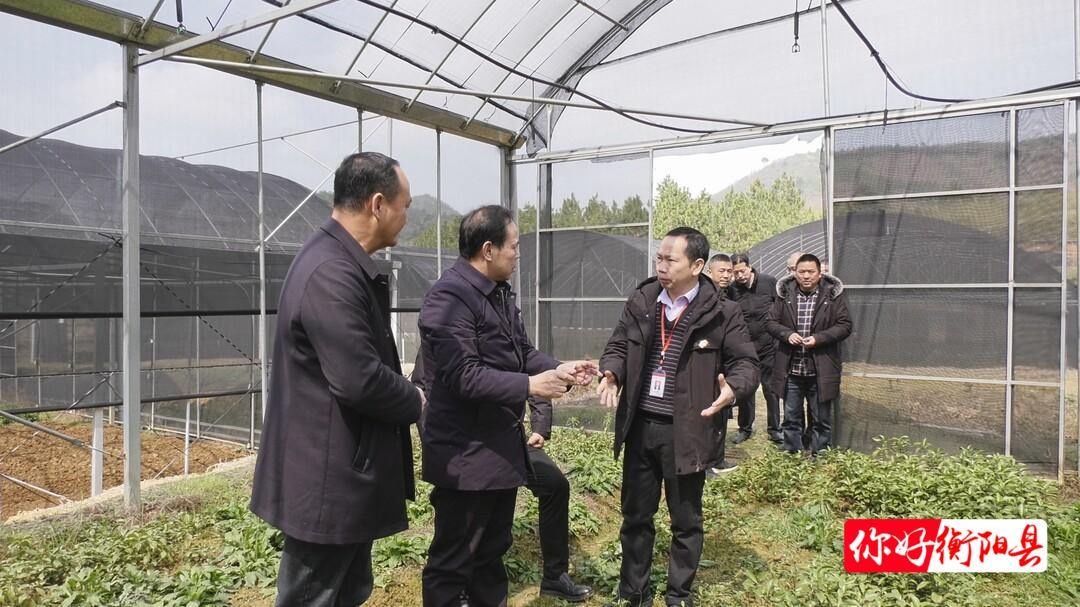 唐仕海调研台源镇乡村振兴工作