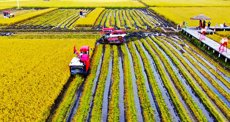 东北地区发展农业的有利和不利条件