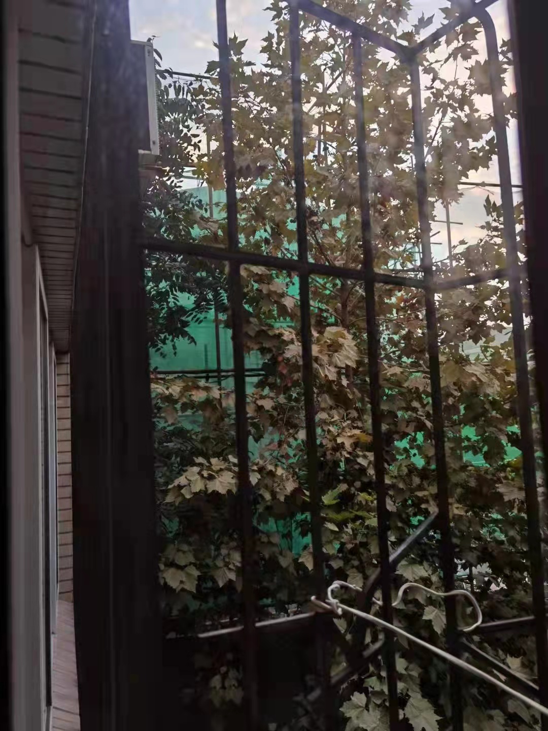 保定一别墅豪横扩建邻居们苦不堪言却投诉无门