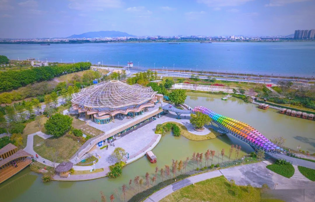 古劳水乡民宿招商热潮:文化与自然的完美结合