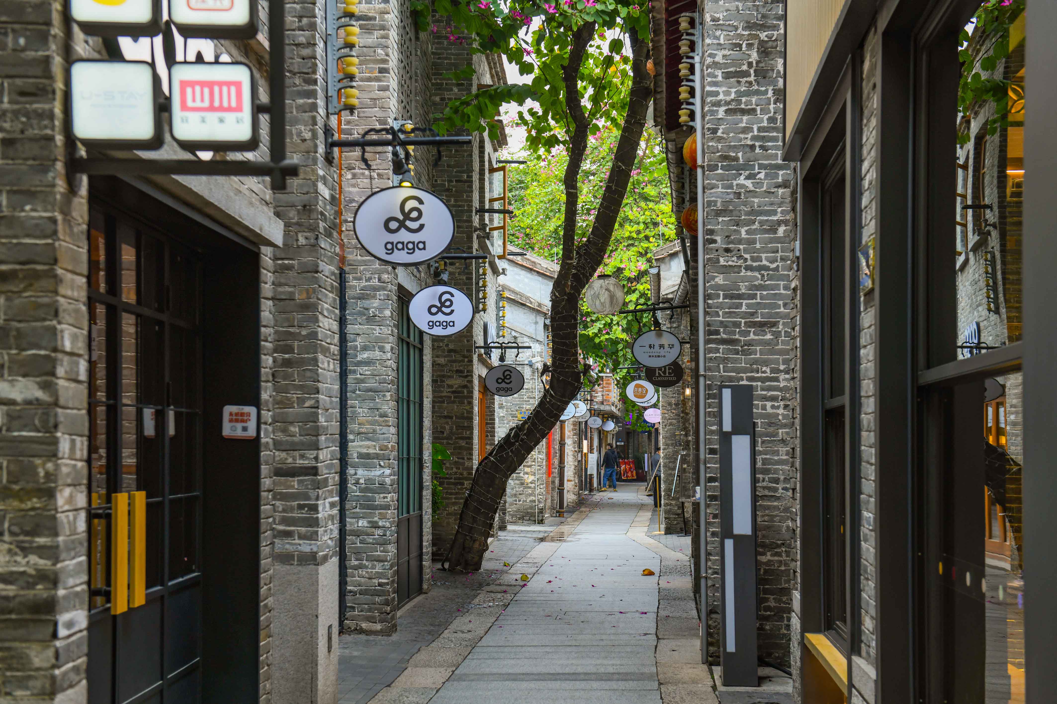 佛山最文艺的街区,尽显岭南老街韵味,是年轻人争相打卡的网红点