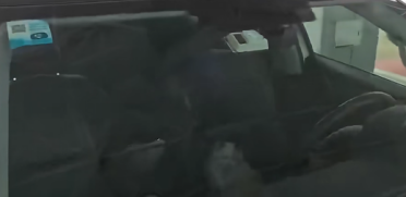 尴尬！男子驾车返乡竟被猫咪锁在车外：结局神反转