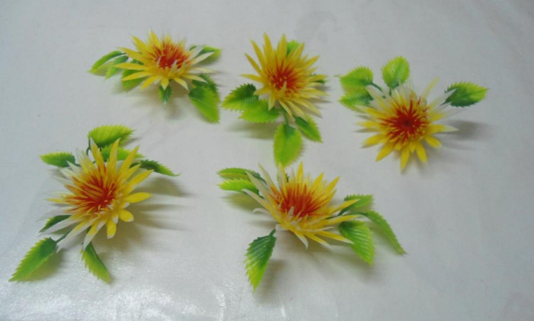 47种最常用的摆盘花草