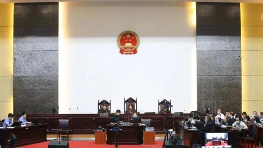 婺源县宝汇通资产管理有限公司,李飞等非法吸收公众存款系列案一审