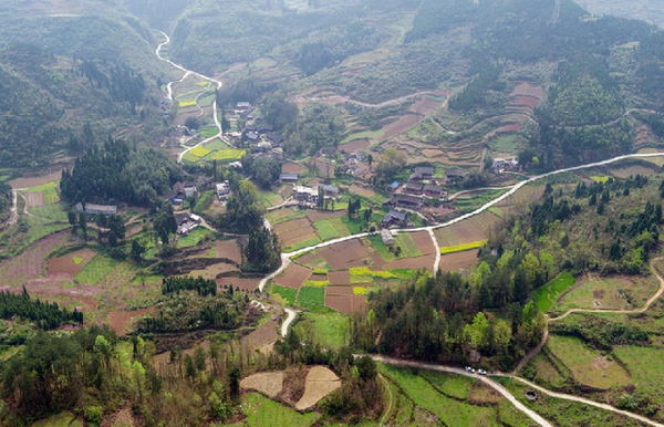 开阳米坪乡:干群携手共推农村"五治" 合力擦亮乡村振兴底色