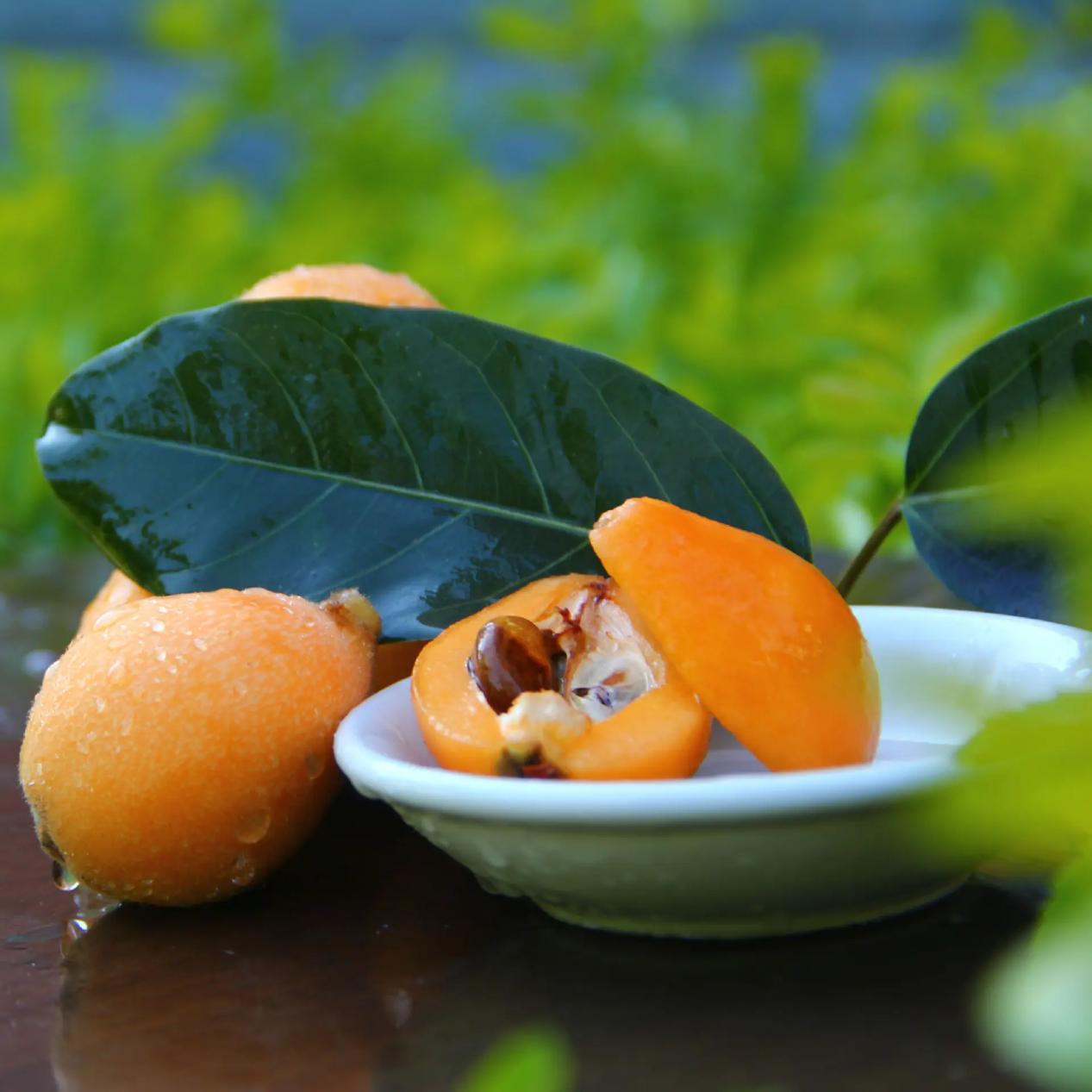 贵州开阳富硒枇杷