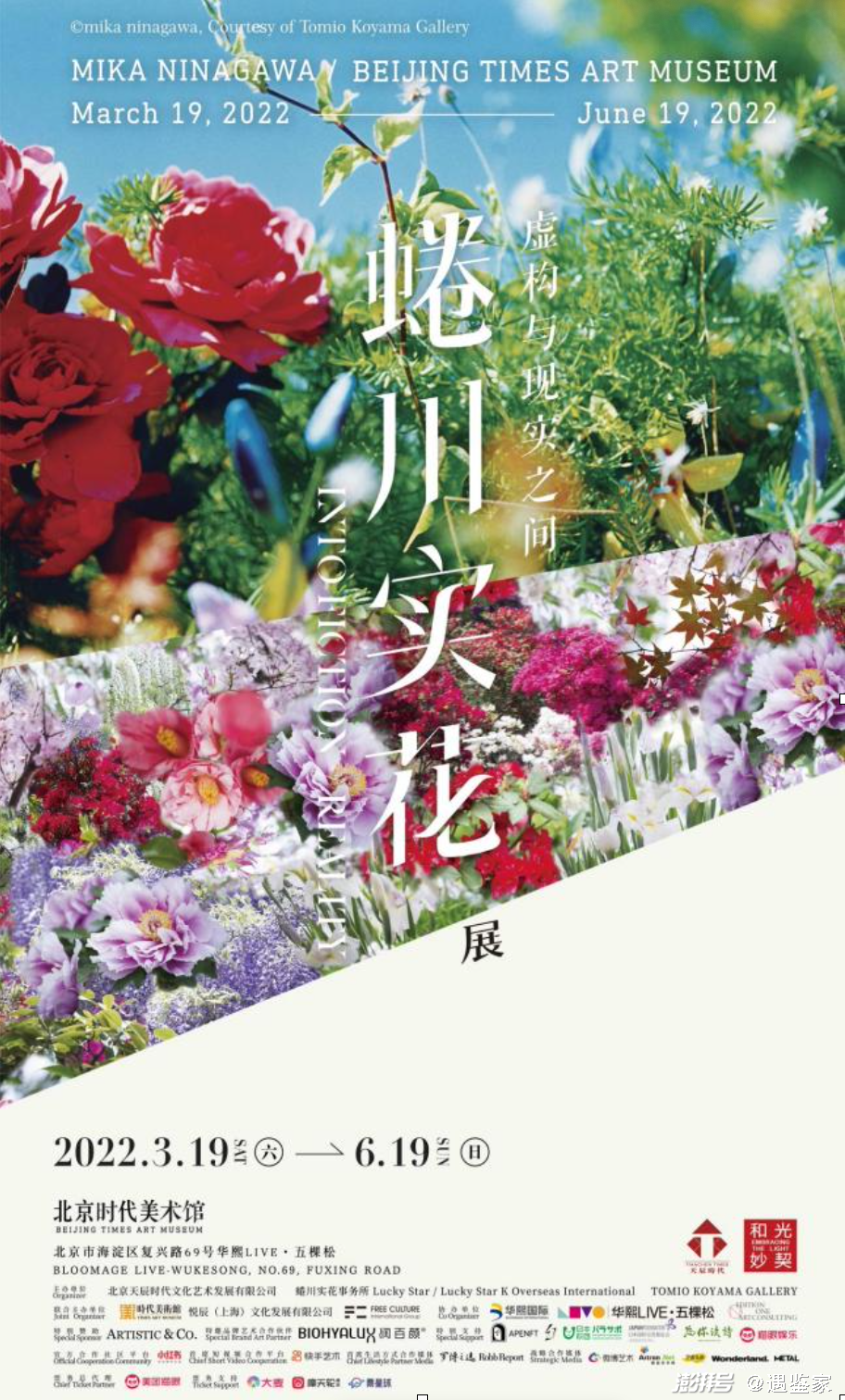 珍视当下,感知生命——蜷川实花与teamlab的物哀美学