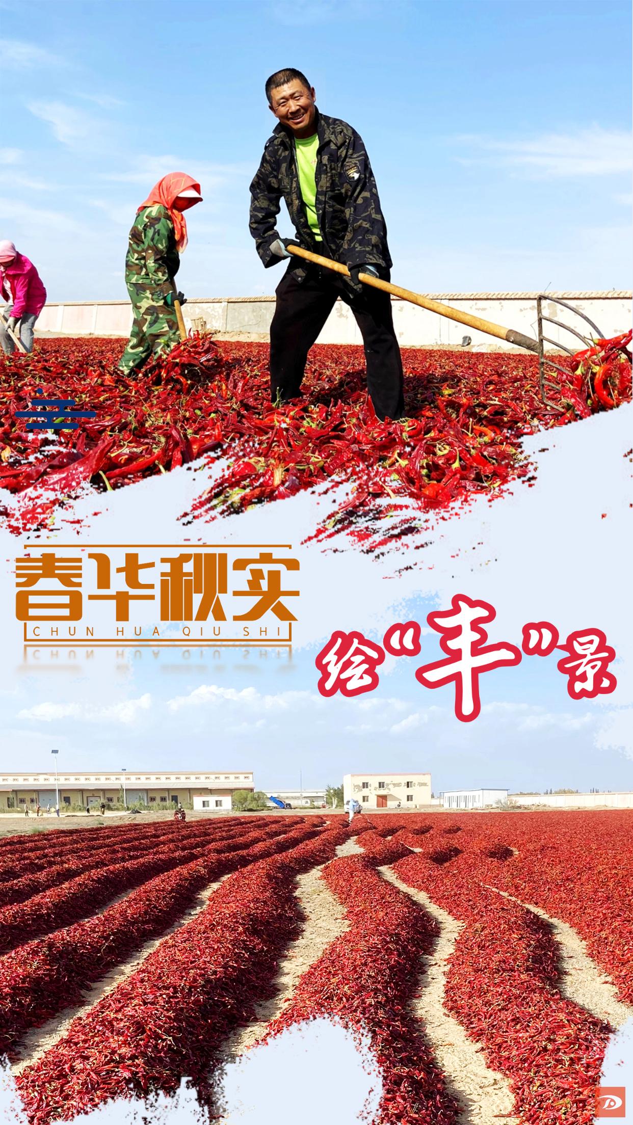 海报|春华秋实绘"丰"景