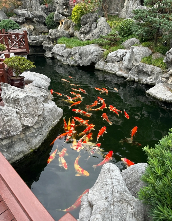 各式各样的庭院鱼池,看看你喜欢哪一款