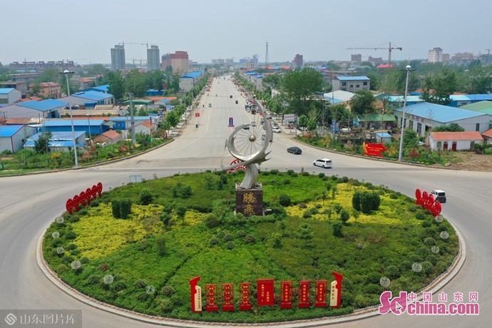 菏泽曹县庄寨镇板材厂