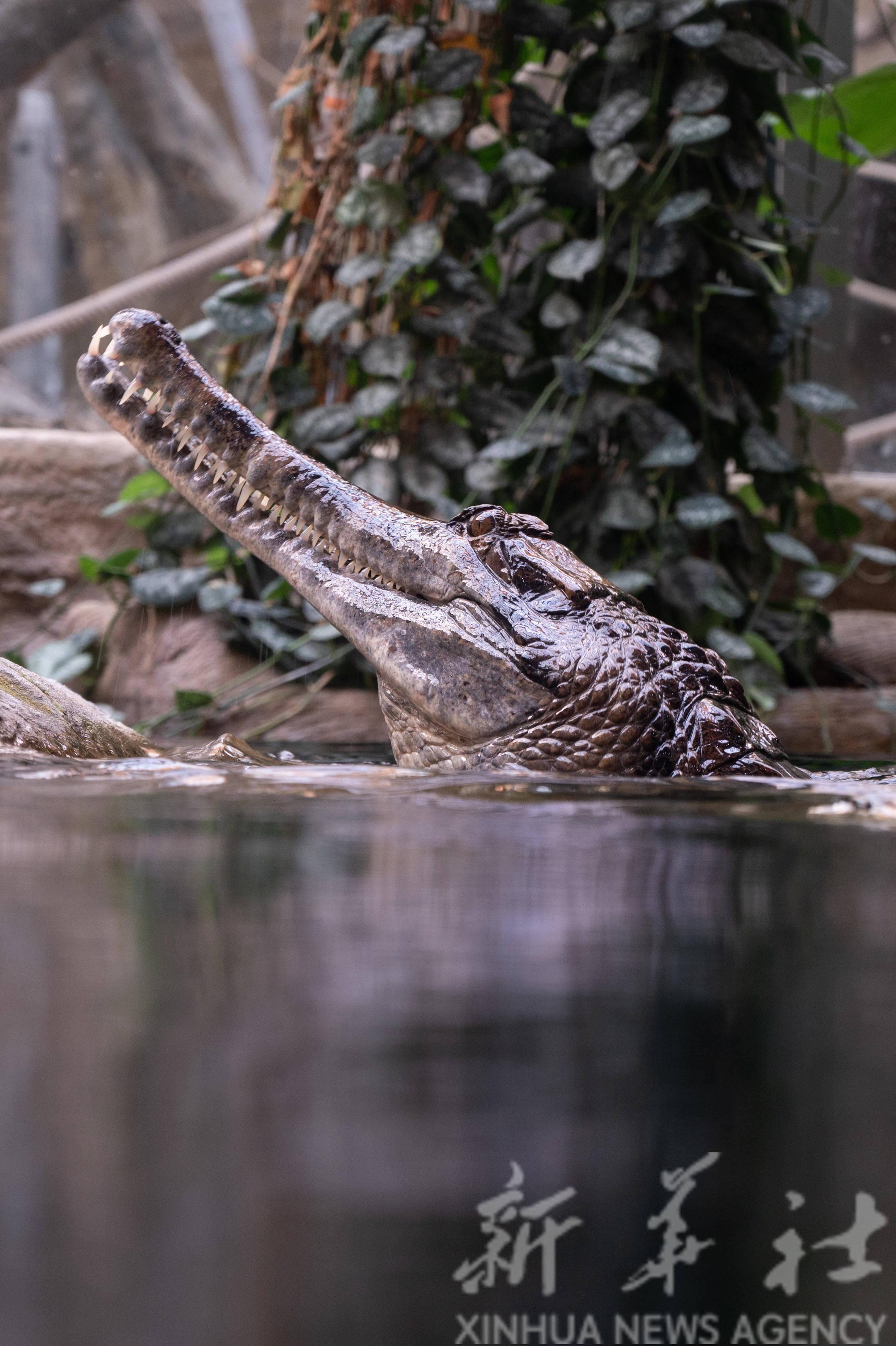 2522_3788竖版 竖屏