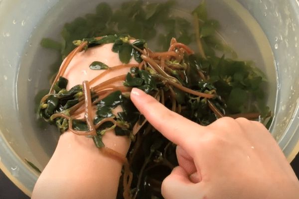 吃对了嘛 吃对了嘛