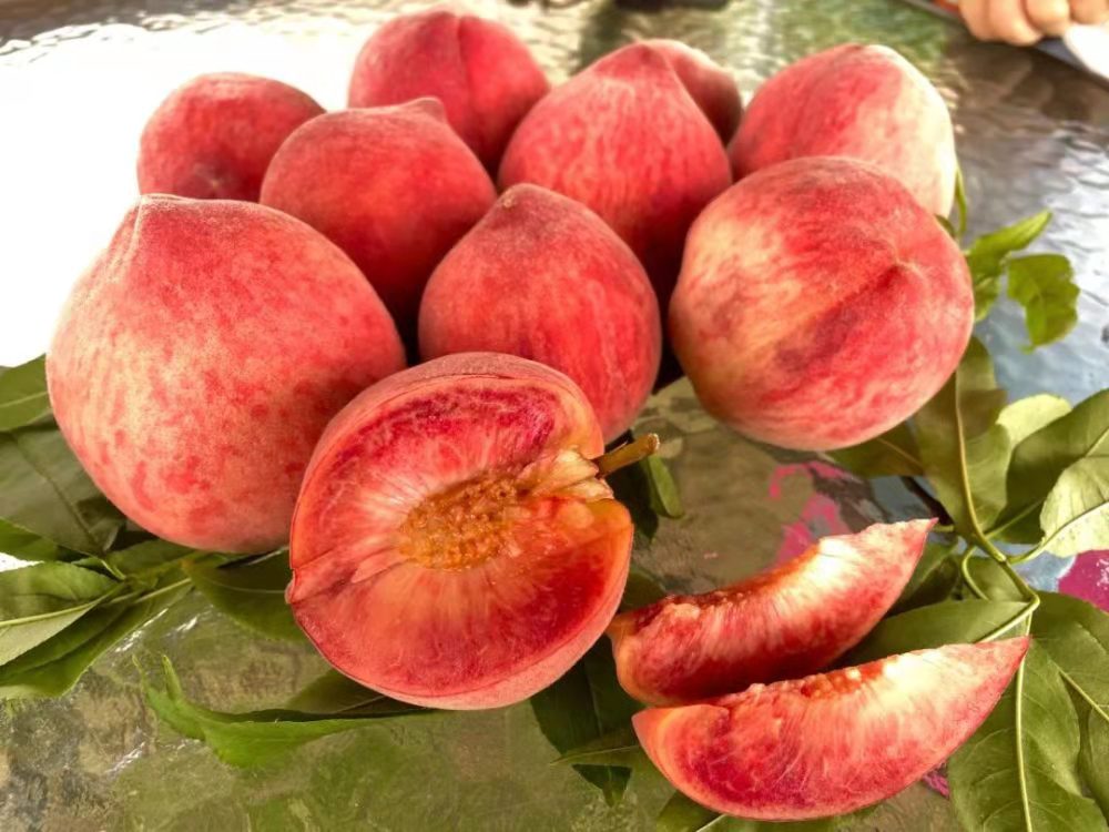 黔南荔波血桃——应是红肥绿瘦