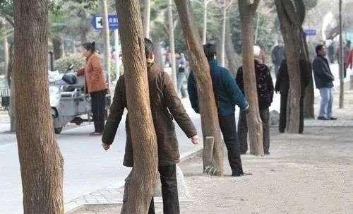 撞树!拍打!暴走!老年人们请放过你自己!