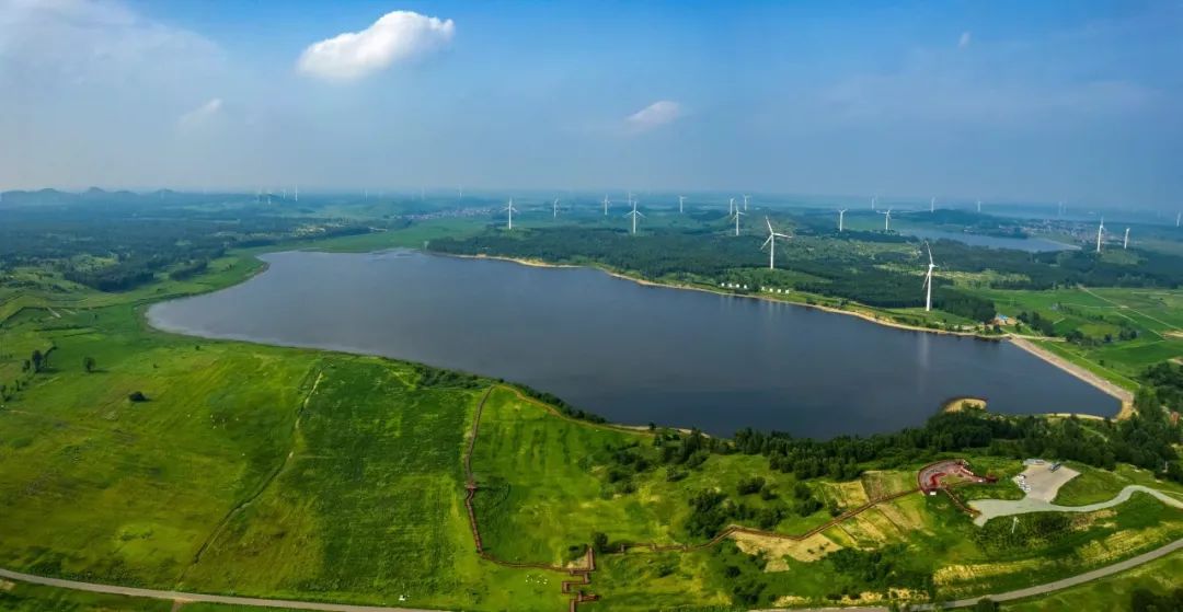 走进县城看发展之一百零二 | 辽宁彰武县:沙地增绿 产业增收