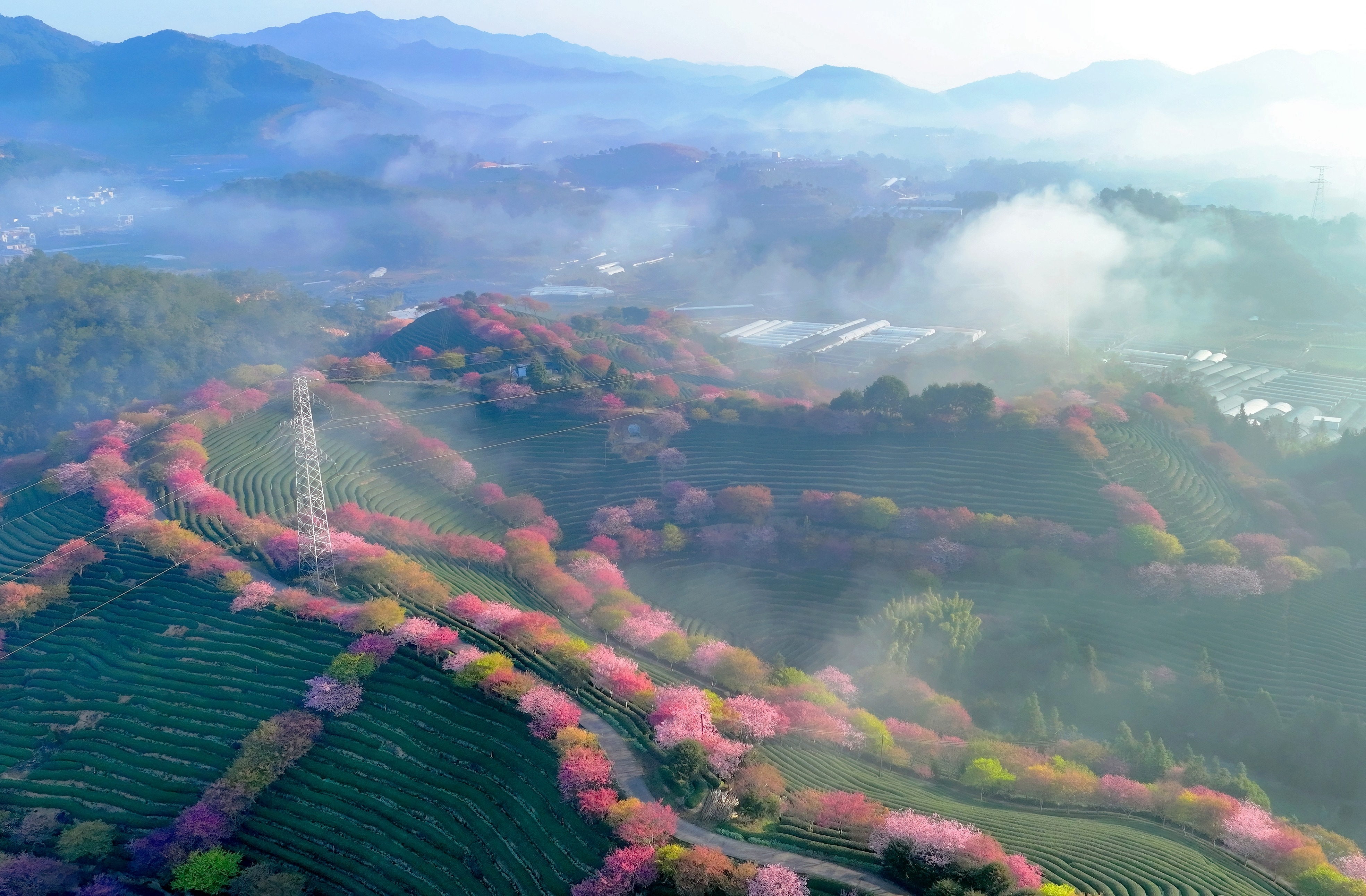 漳平八大景图片