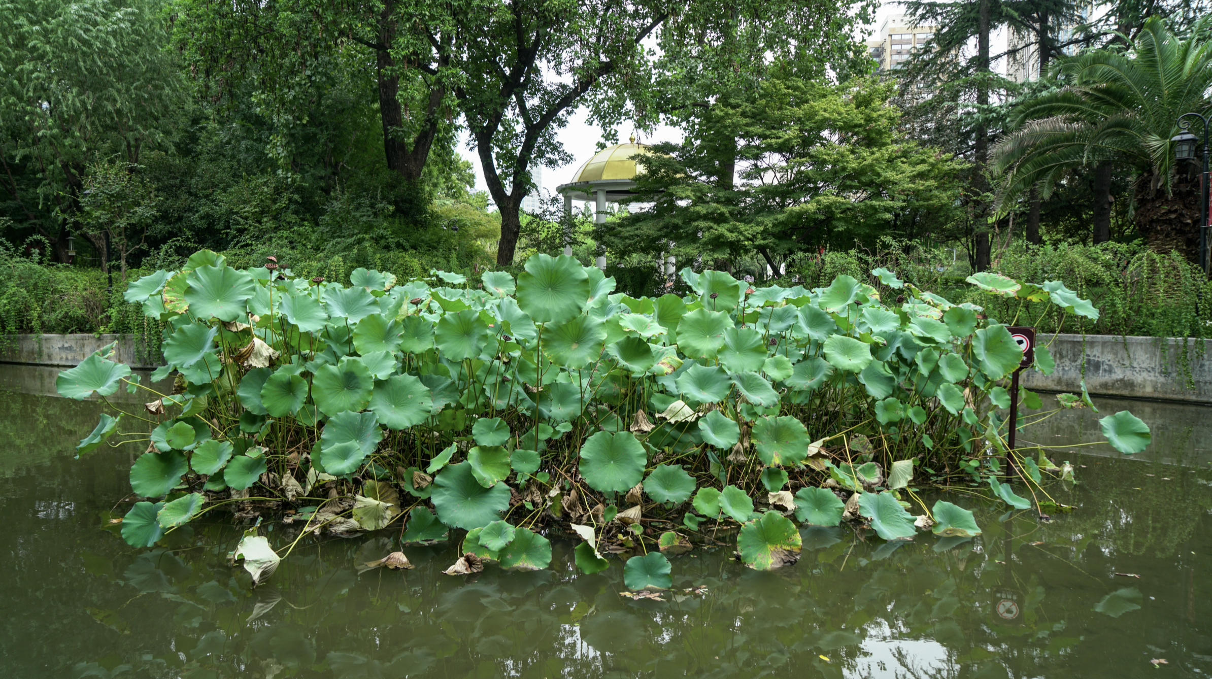 國慶逛公園系列——復興公園