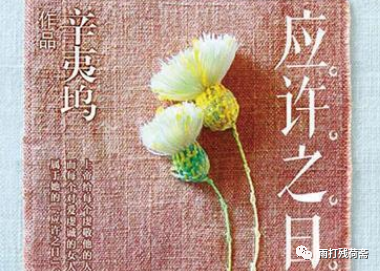 书评《应许之日(辛夷坞)