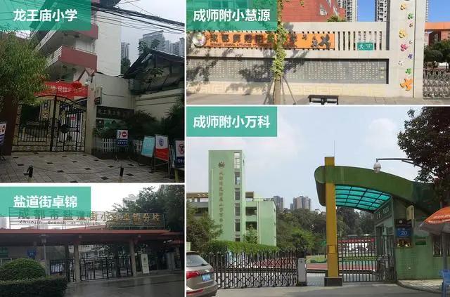 龙舟路小学图片