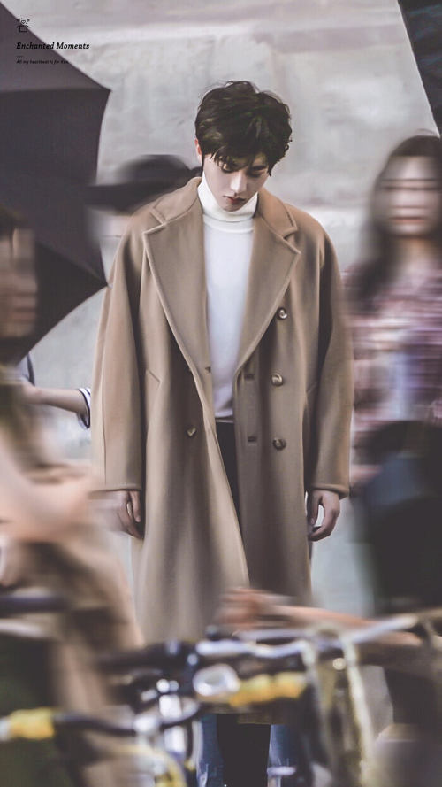 来寺库上看看最值得投资的 maxmara 大衣