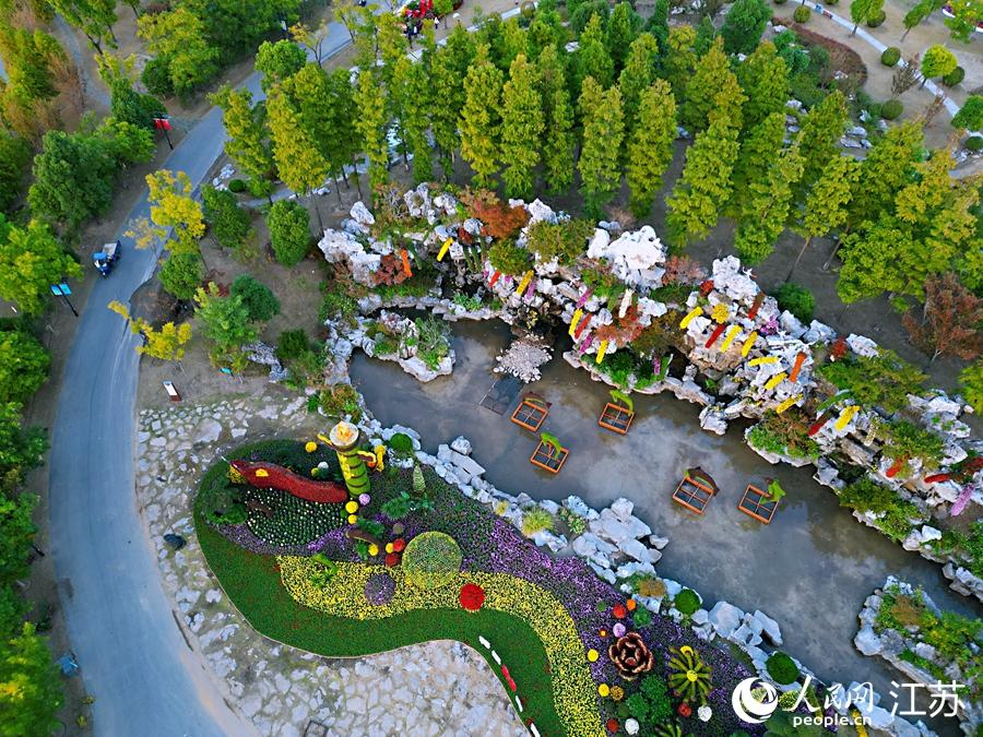 江苏南通:秋色斑斓植物园