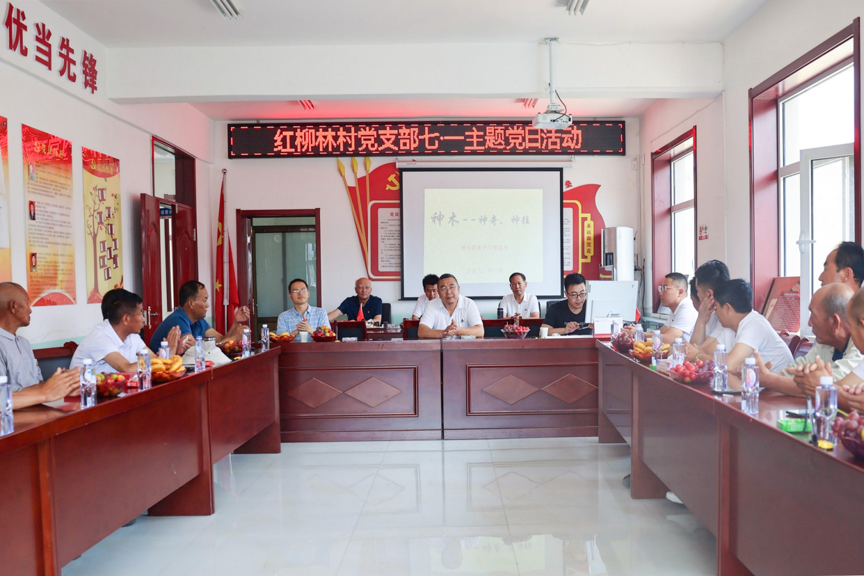 神木职教中心联合红柳林村开展结对共建"庆七一"主题党日活动