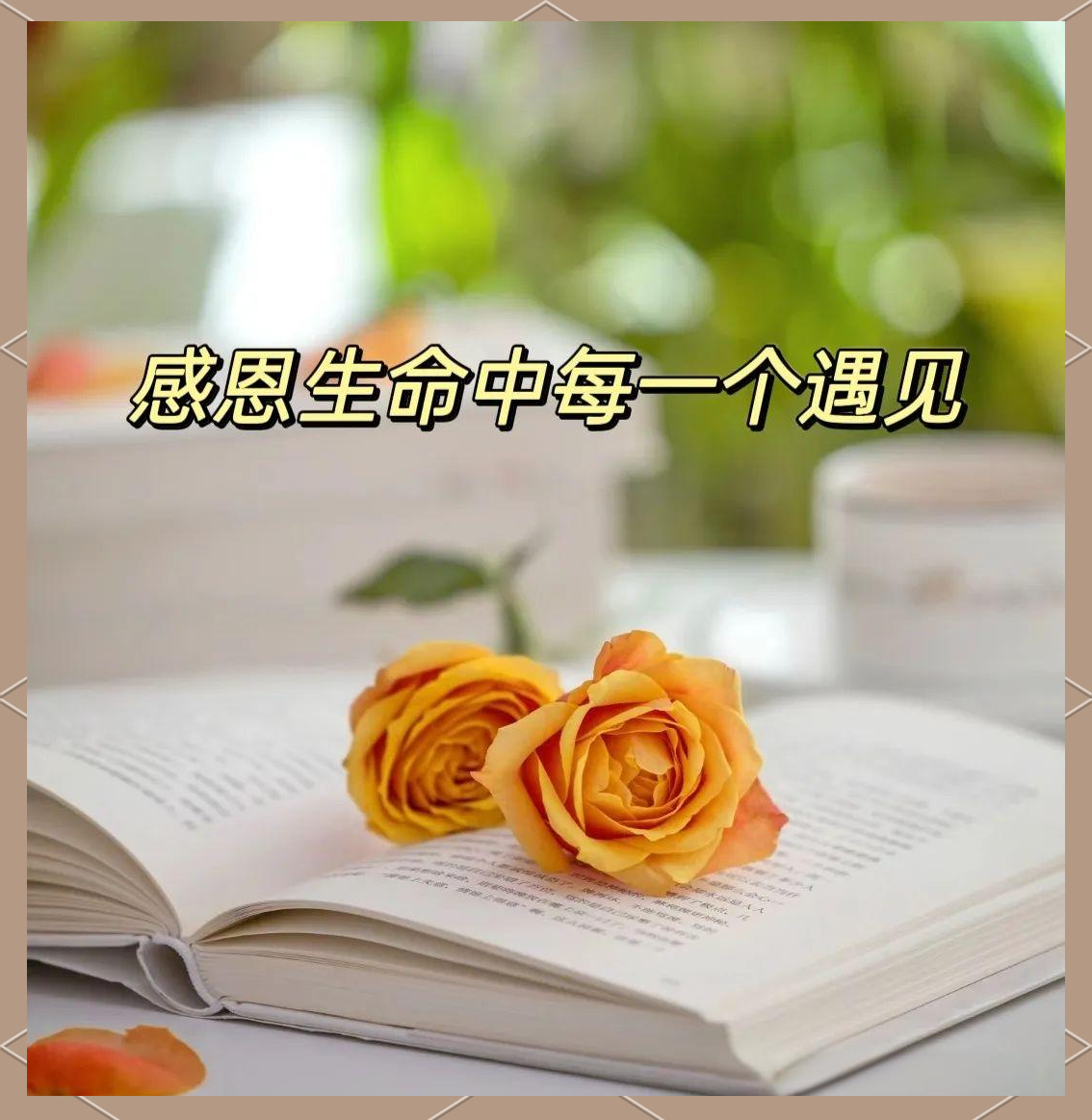 感恩生命中的每一次温暖相遇,愿世间所有相逢都充满爱与力量