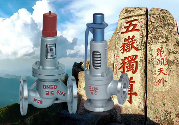 波纹管背压平衡全启式安全阀