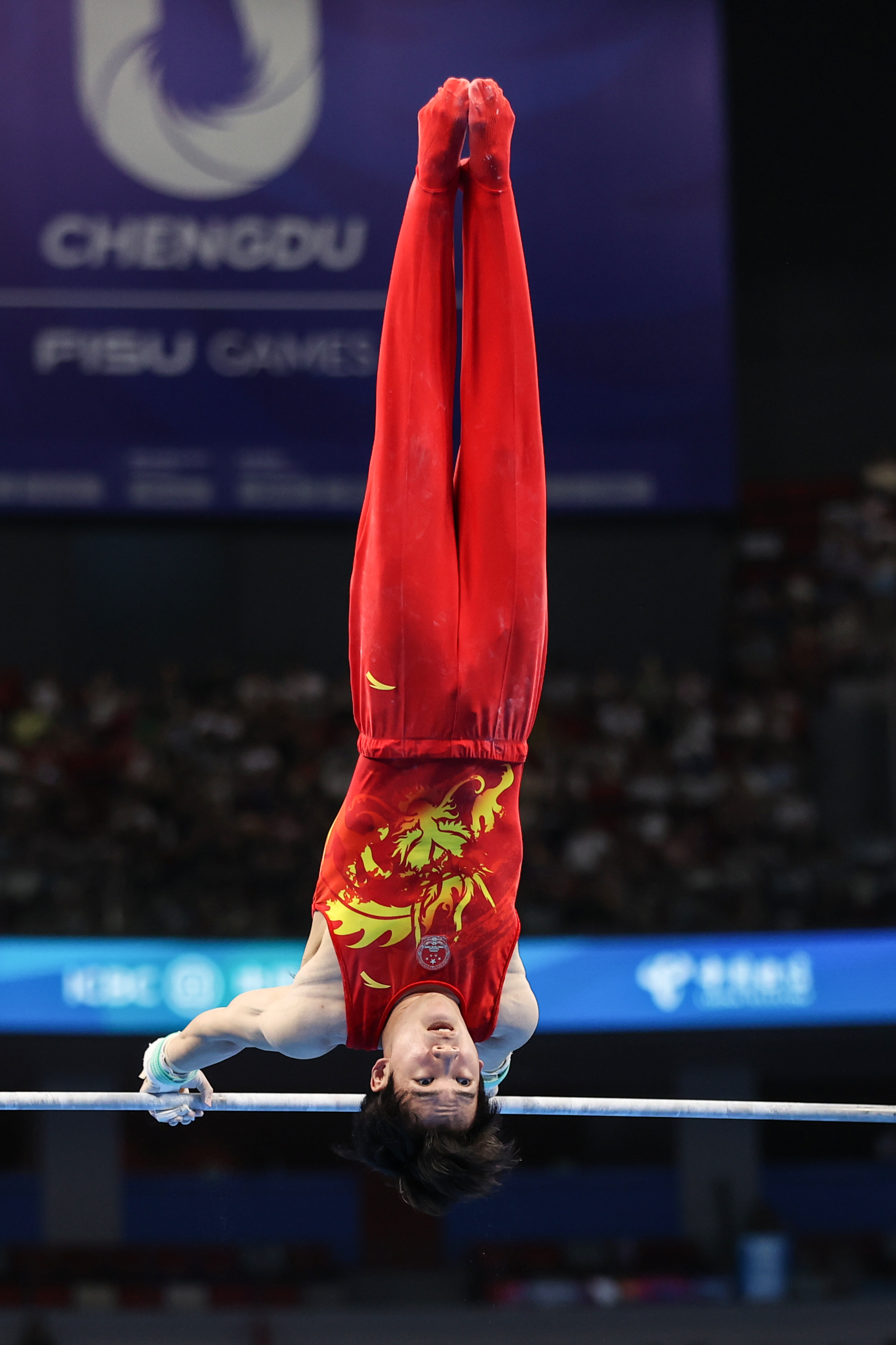 体操——男子个人全能:张博恒夺冠