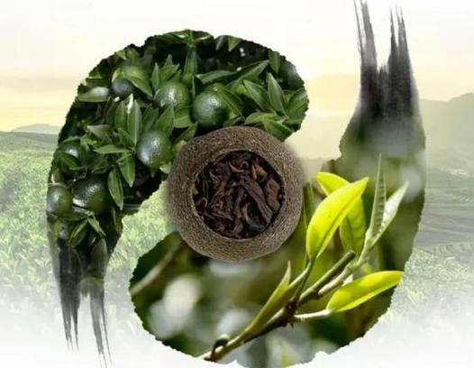 润元昌小青柑:经典与创新的碰撞