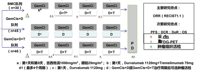 史颖弘教授:肝内胆管癌的外科综合治疗中山经验分享