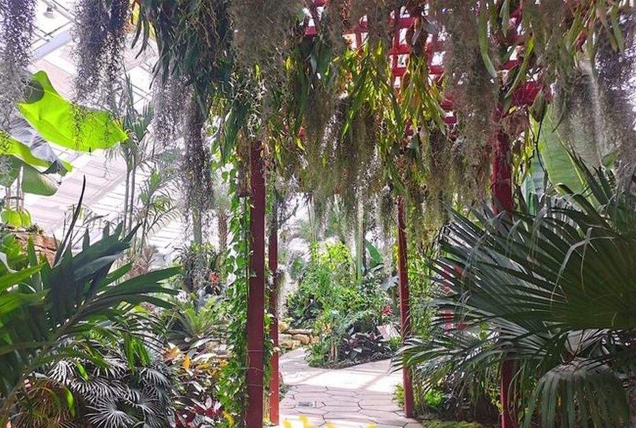 "泉"在济南过五一|济南植物园里的"热带雨林"秘境