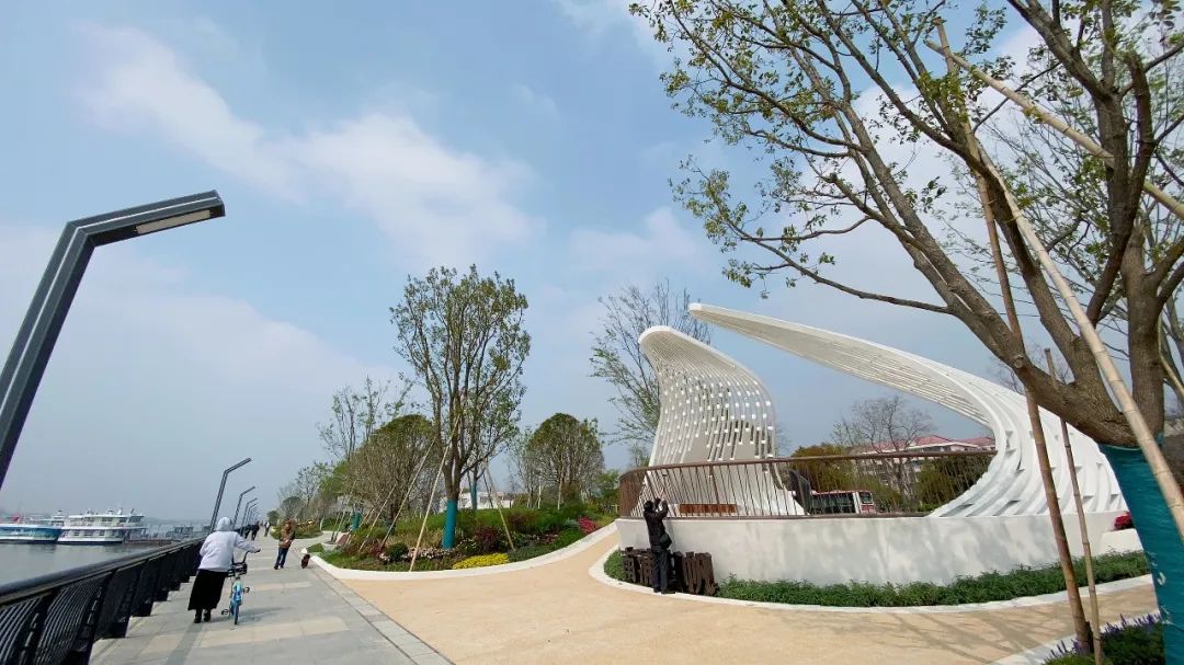 闵行滨江公园建成!24小时开放,宠物友好