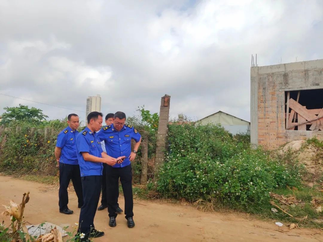 杨智军调研督导违法用地图斑整改工作