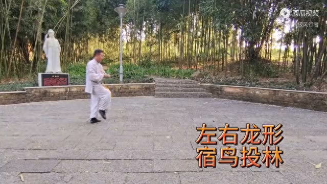 51式传统杨式太极剑