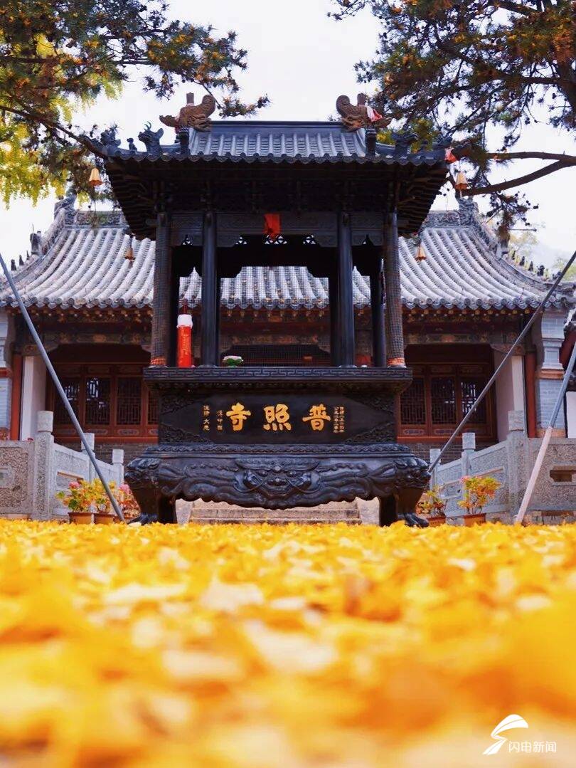 组图丨初冬泰山普照寺:落叶成毯 静谧如诗