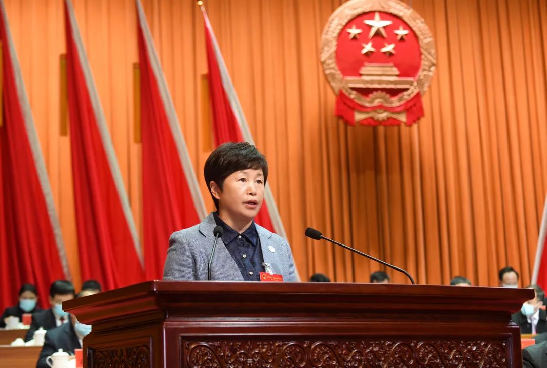 市人大常委会主任潘云芳受市第十六届人大常委会的委托,向大会作工作