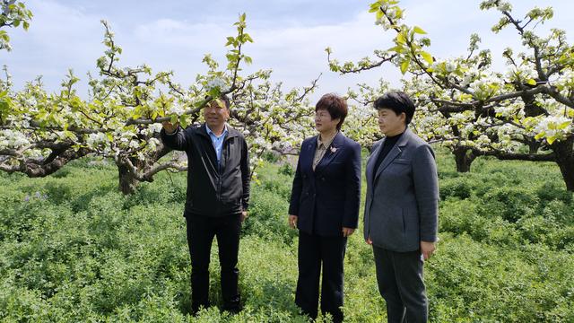 虞城县田庙乡图片