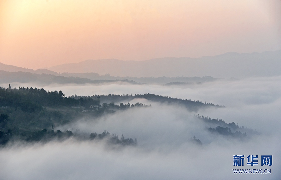 重庆雨台山:薄雾映朝霞"水墨"绘乡村