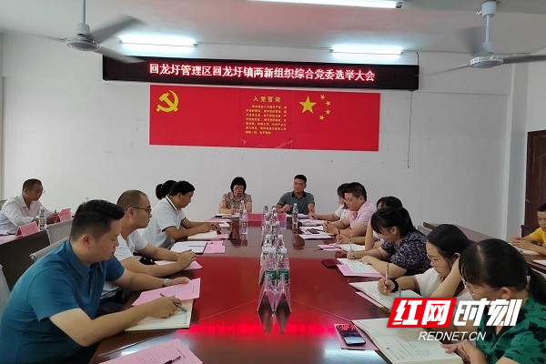 回龙圩管理区回龙圩镇成功召开两新组织综合党委选举大会