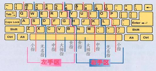 打字正确指法图片