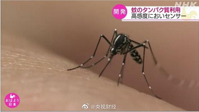 日本人工合成蚊子蛋白質 開發出氣味傳感器