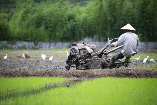 50岁的农民,我深知这句话"没有人会为你的未来买单,你要么努力向上爬