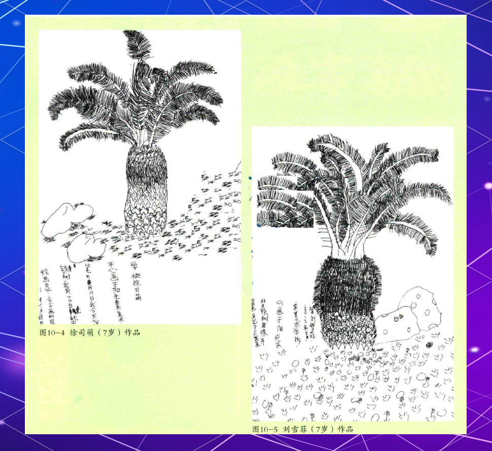 孩子们的铁树线描画探索之旅