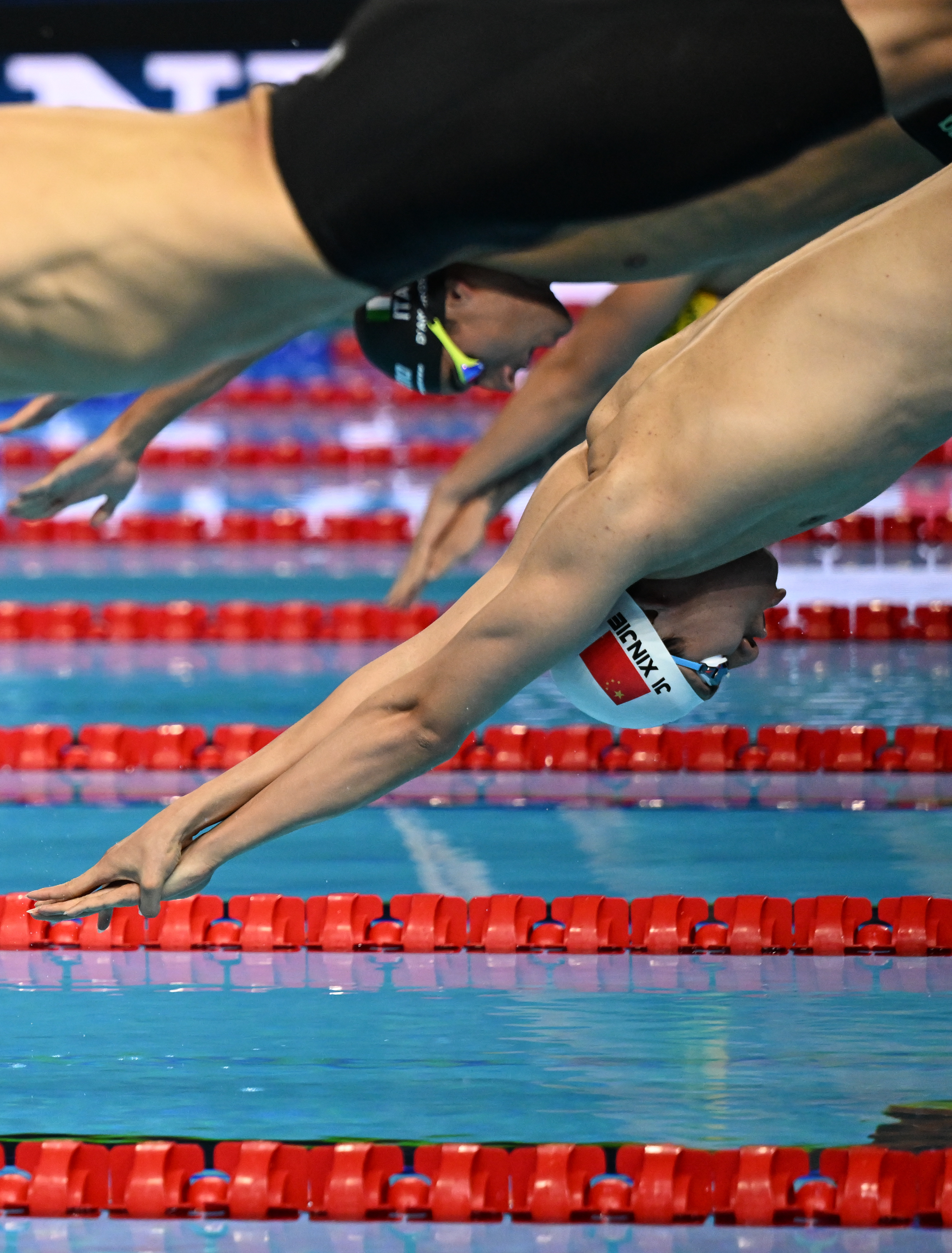 (游泳世锦赛)游泳