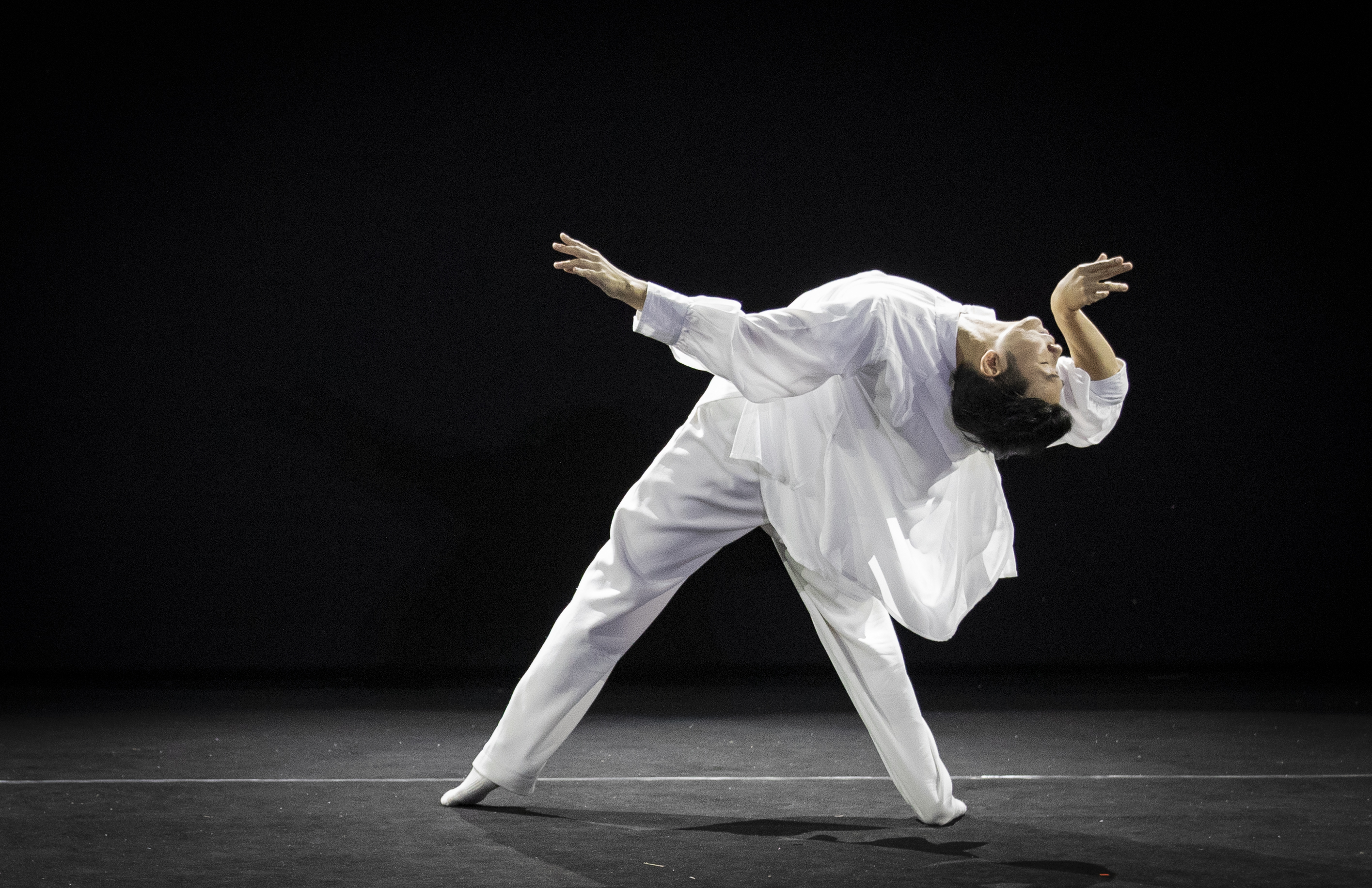 中国青年舞蹈家亮相耶路撒冷国际独舞节